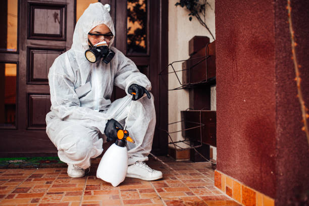Attic and Crawl Space Rodent Treatment in Pine Island